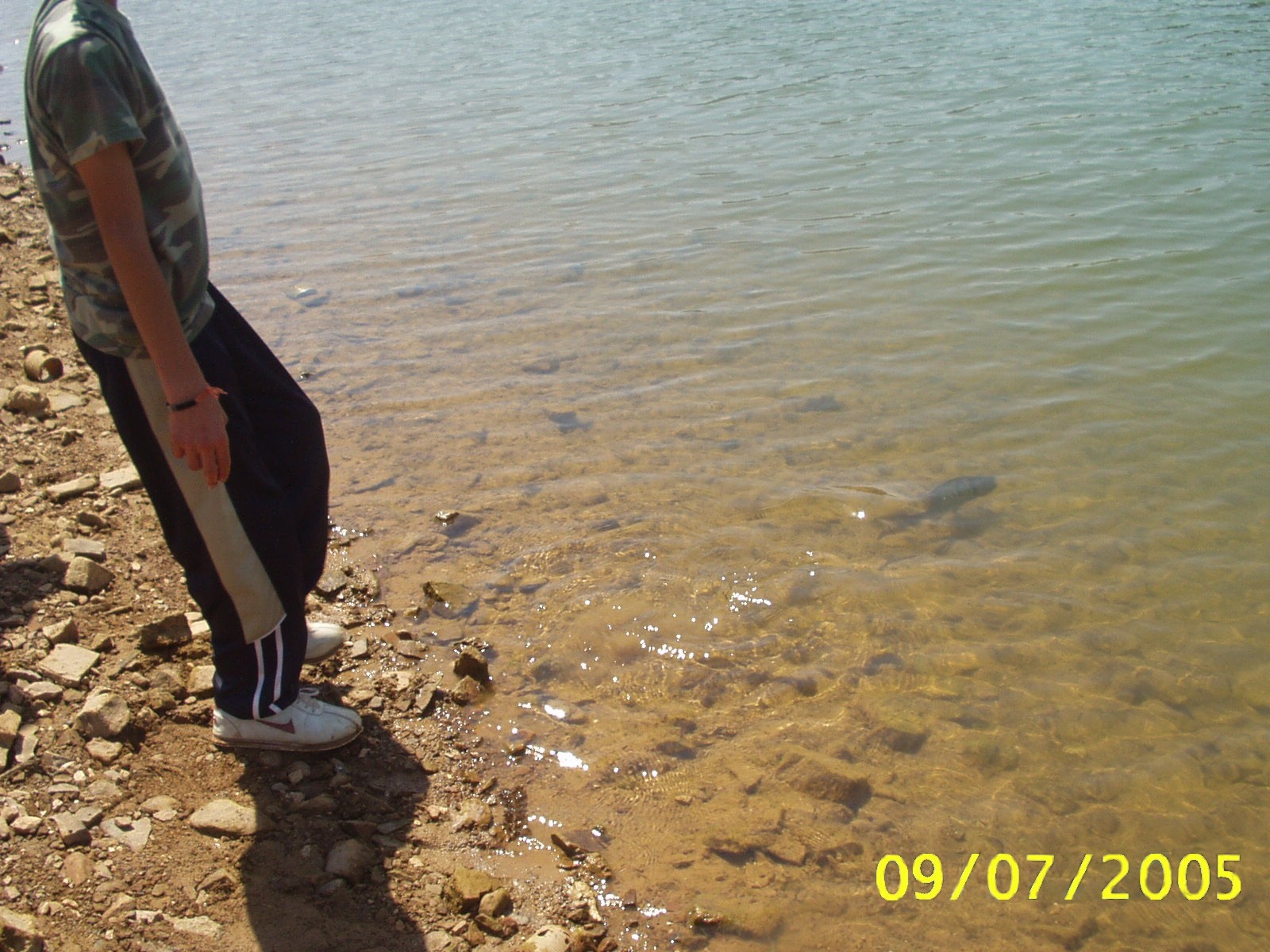 Suelta de piezas en La Serena